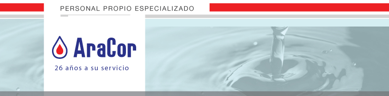 encabezado